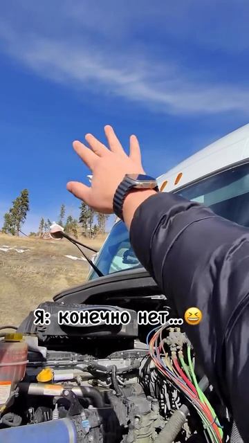#доброеутро пупсики ❤️ #дальнобойщики