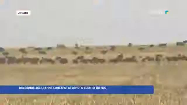 ВЫЕЗДНОЕ ЗАСЕДАНИЕ КОНСУЛЬТАТИВНОГО СОВЕТА ДП ПО ЗКО