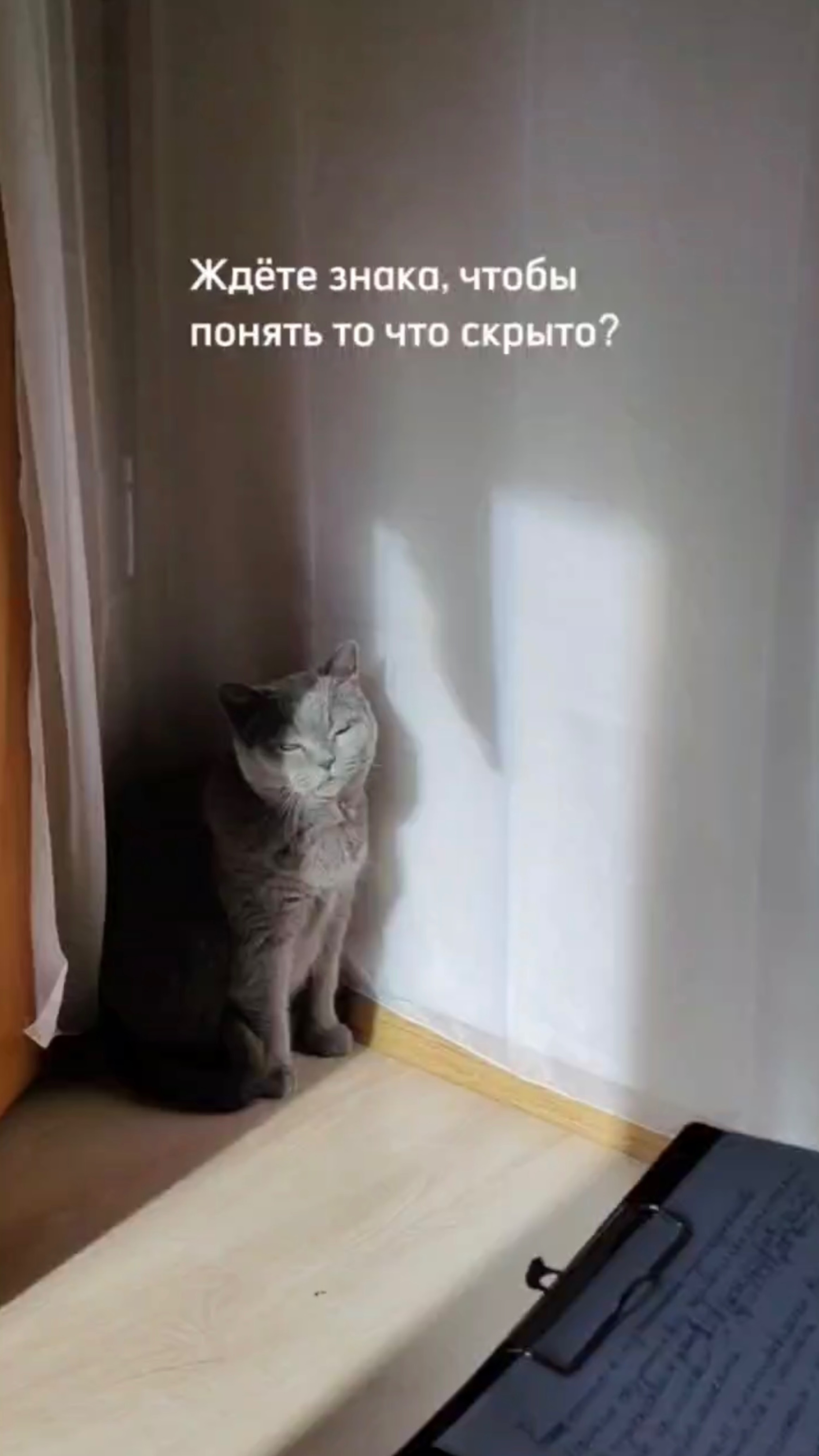 4 апреля эфир про скрытые способности человека⬇️