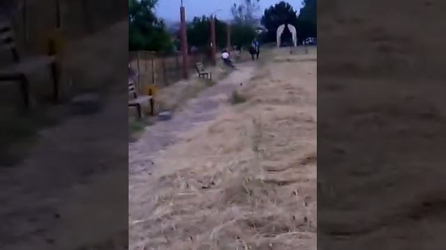 Копия видео в парке на всемирный день детей