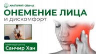 👉 Онемение Лица и Дискомфорт в Плечах. Зажимы Сосудов / Санчир Хан / Анатомия Спины #онемение