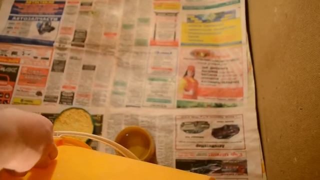 Инкубатор Поседа - обзор.  Вывод цыплят в инкубаторе