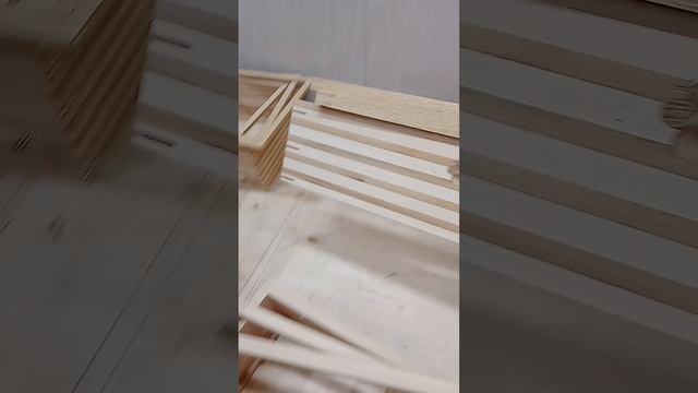 VID20250402185432.mp4