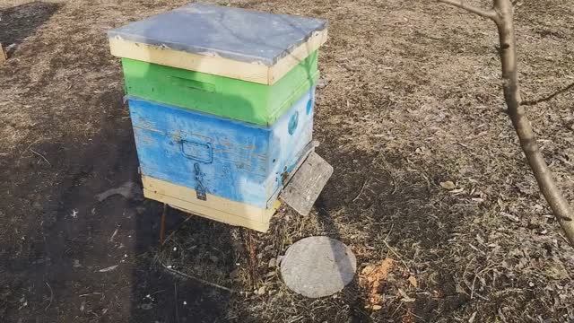Сезон открыт