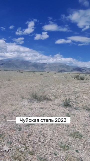 Чуйская степь