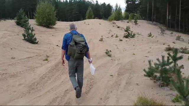 VID-20250401-WA0021