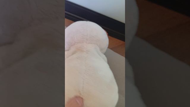 мы с басиками идём к доктору😬