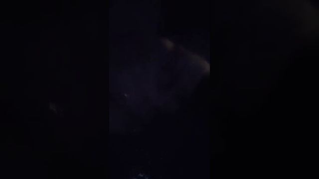 CHRISTIAN S. MÄKELÄ €16379386 MILLIONAIRE HUSBAND SWIM66661986 OCEAN ISLAND CHAMPION 1 CHRISTIAN 38