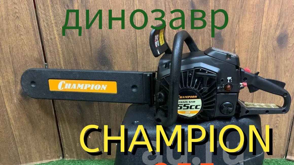 Редкий зверь чемпион 255