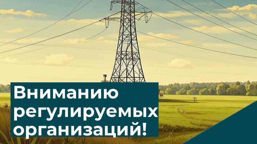 Видеоинструкция по подаче тарифной заявки в сфере ЭЭ в ГИС РТ