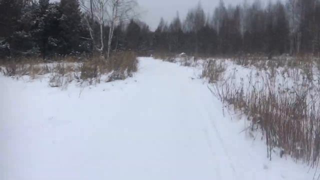 Молодняк за ЖК _Десятка_.