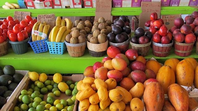 A Complete Debunk of Every Cowspiracy Statistic