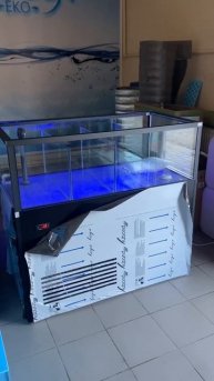 -1311419332965409541