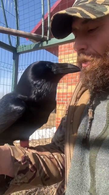 Лечимся, еще чуть-чуть, и повязку снимать поедем. ☺️