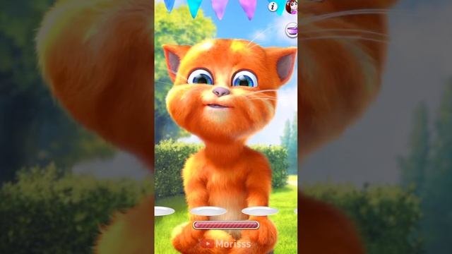 Talking Ginger orange eat 🌈🍋🍑🍓🍎🍇🍒🥭