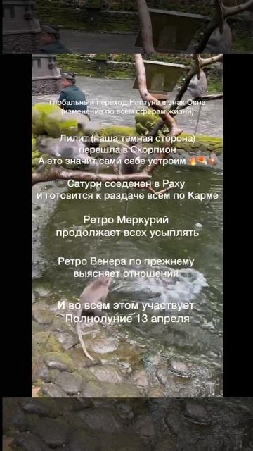 ЧТО ЖДАТЬ В АПРЕЛЕ? #астрология #астрологическийпрогноз #эзотерика