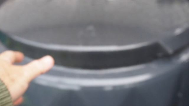 It's Raining Are All My Compost WORMS LEAVING?