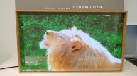 Panasonic Transparent OLED Display