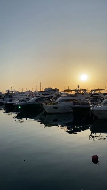 Яхты | Yachts 🛥️ #закат #sunset