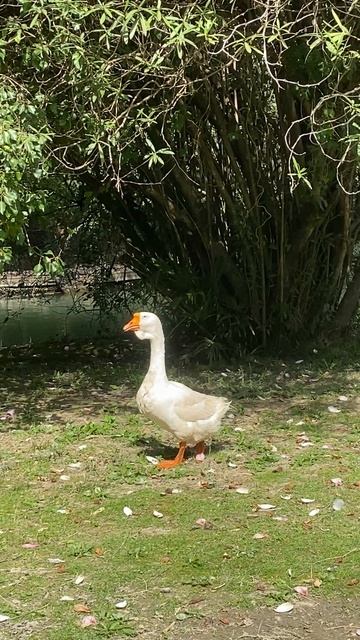 Народу в парке много, а поговорить не с кем.