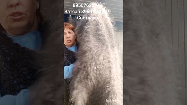 Пуховые платки.