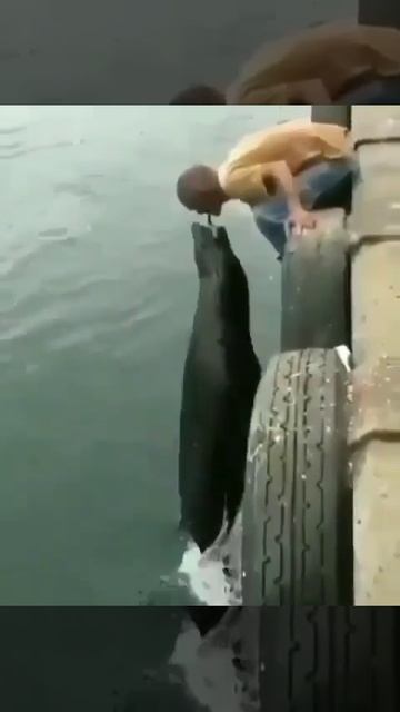 Рисковый поступок парня конечно.