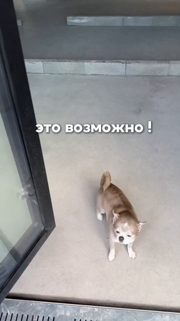 Рассрочка от застройщика #купитьквартиру #недвижимость #свояквартира