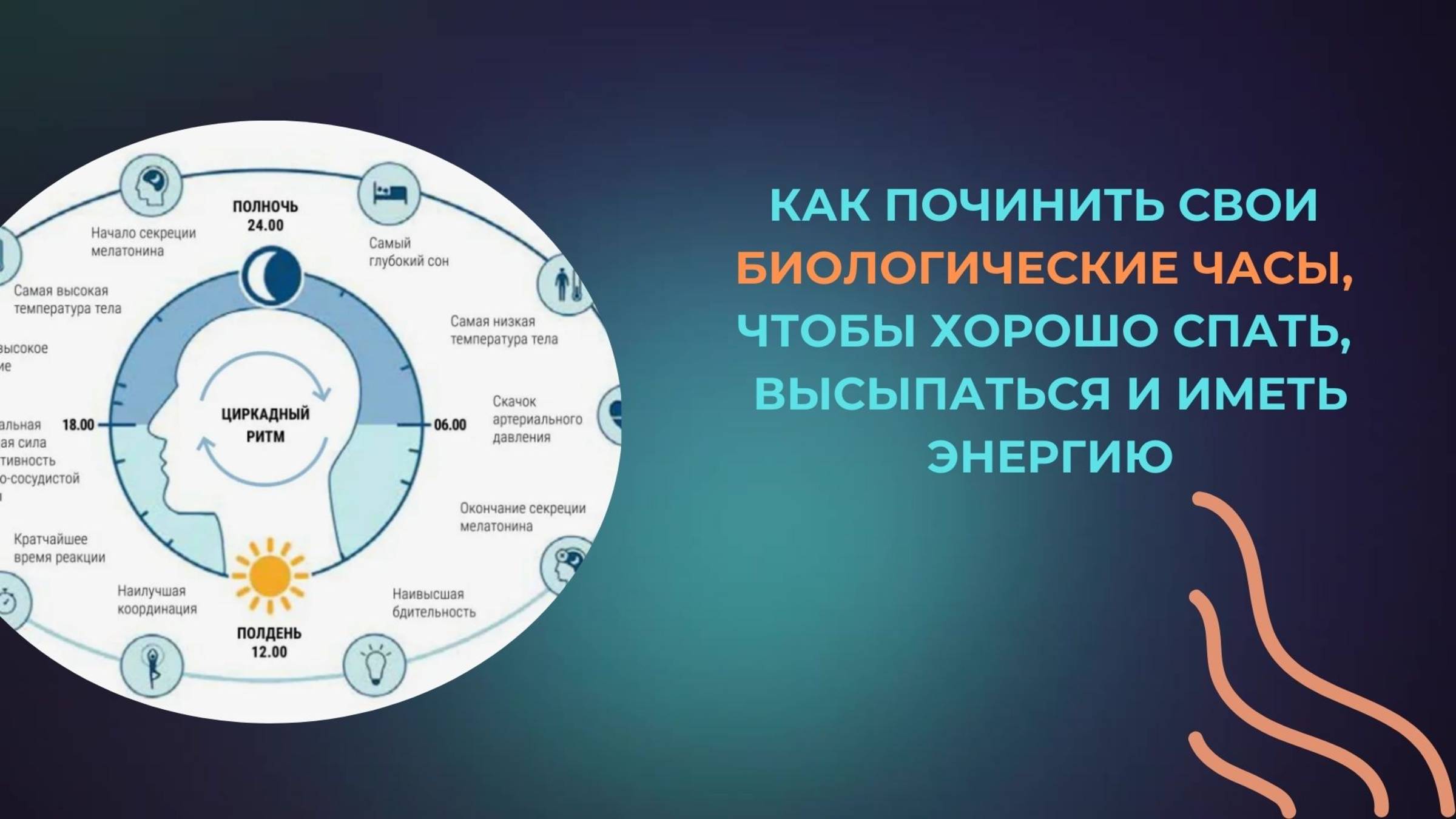 Как починить свои биологические часы, чтобы хорошо спать, высыпаться и иметь энергию