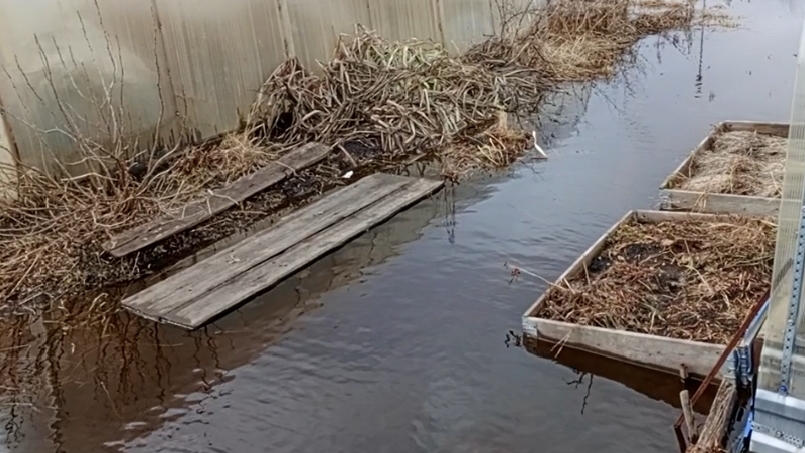 Весна пришла. Много воды.Работа кипит , сучки летят.