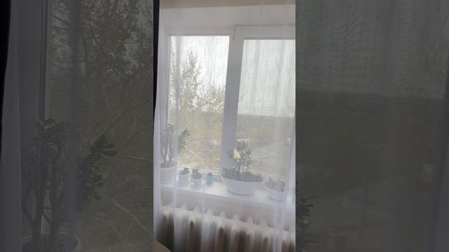Продажа 3 комнатная Генерала Петрова 78