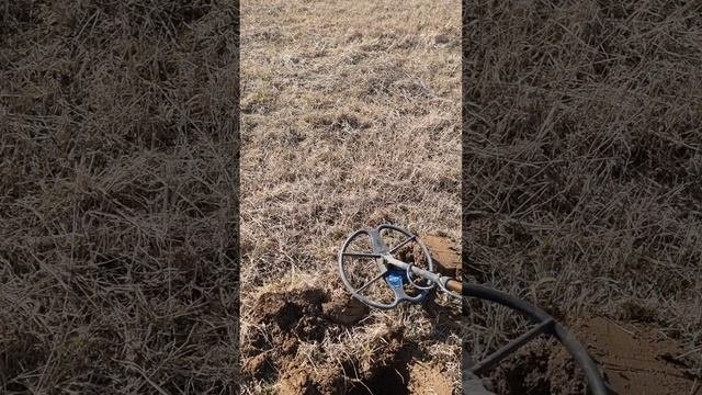 начало сезона 03.04.2025