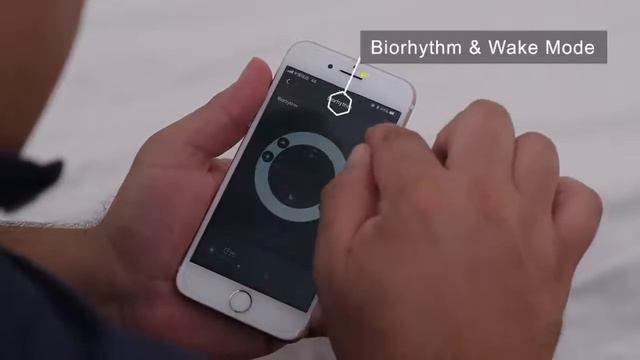 Smart Lighting Solution by APEX 2020 9 17