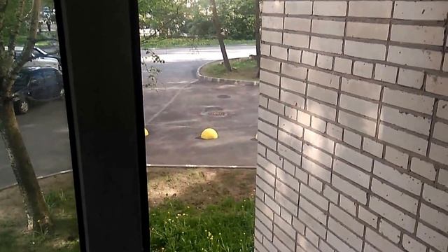 Городские пчёлы 20 05 2018