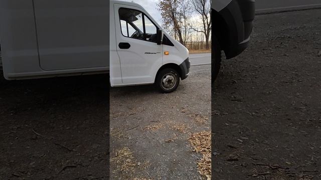 Газель некст