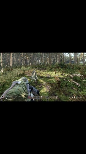 DayZ поддержите подпиской и лайком))) #dayz #dayzgone  #dayzpvp #dayzraid  #dayzstandalone