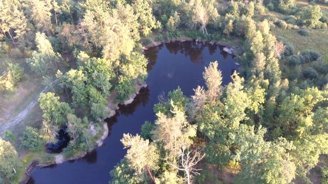 ПУЩА-ВОДИЦА. УРОЧИЩА "ТАБУРИЩЕ" и "СИНЯКИ" в ULTRA HD 4K (12.08.2019)