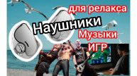 Универсальные НАУШНИКИ Zhulinniao Earphone От СТРУНЫ к МУРАШКАМ