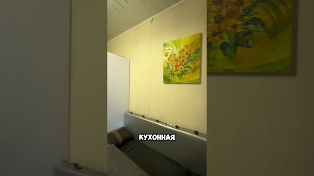 Обзор функциональной однушки в центре Тулы !