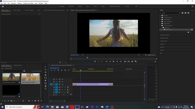 How To CHANGE Video Size In Premiere Pro (2023) (Transform Effect)