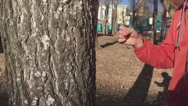 Minecraft в реальной жизни. Серия 1. Сезон 1. 2021.