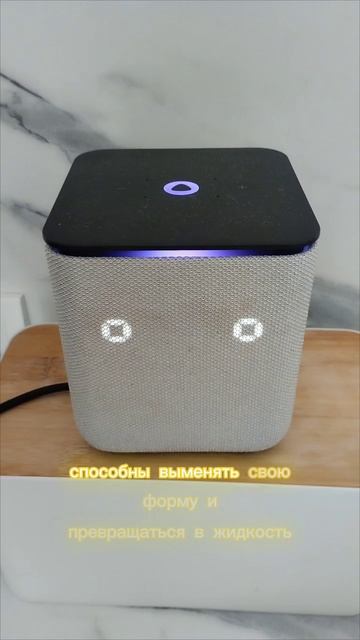 терминатор
