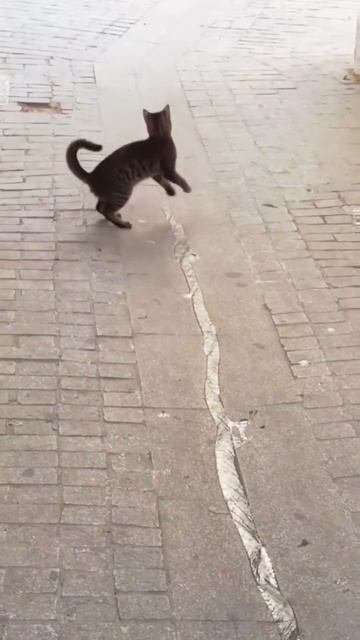 ХихиЧпок Юмор