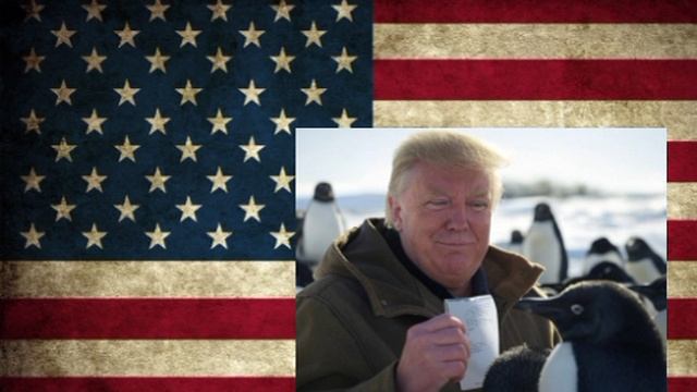 Мир начал реагировать на развязанную Трампом тарифную войну: