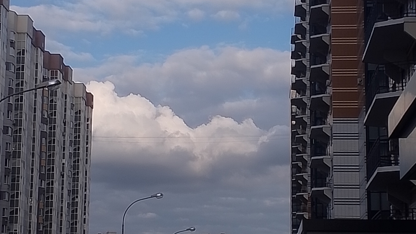 перед школой