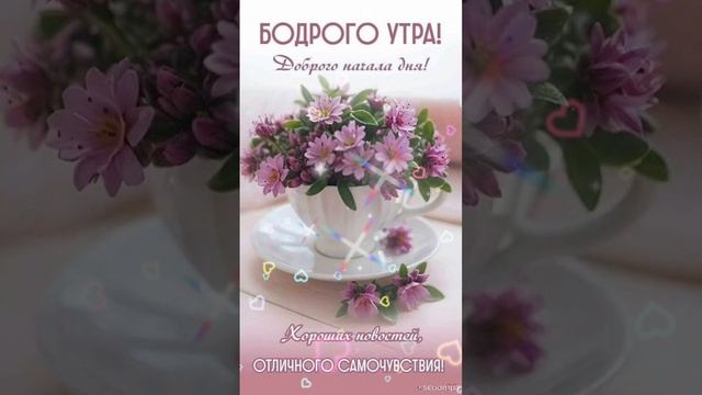 Доброе утро💖 Доброго начала дня 😊