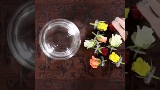 Кол онер