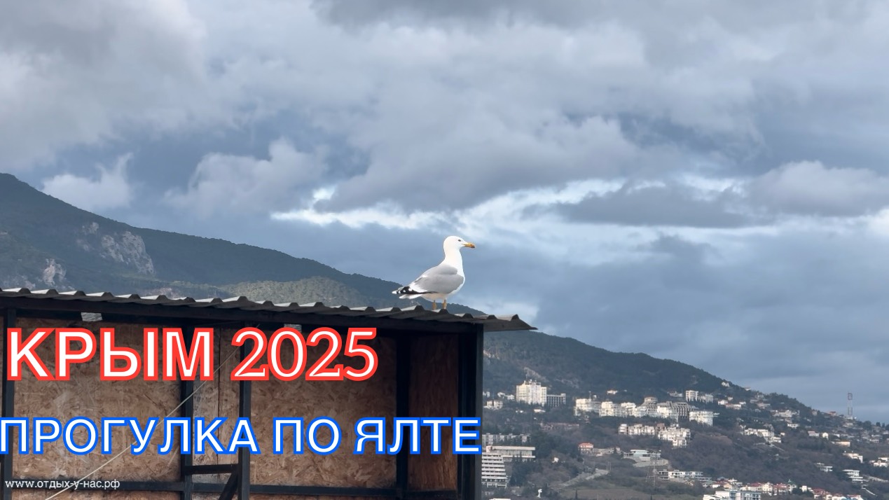 КРЫМ 2025 | ПРОГУЛКА ПО ЯЛТЕ 3 АПРЕЛЯ ❤️🌊⛰🌴🏖🐬☀️