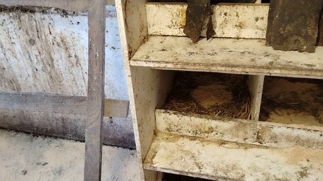 От перопухоеда,блох,вшей,клещей и др. Уникальный препарат.