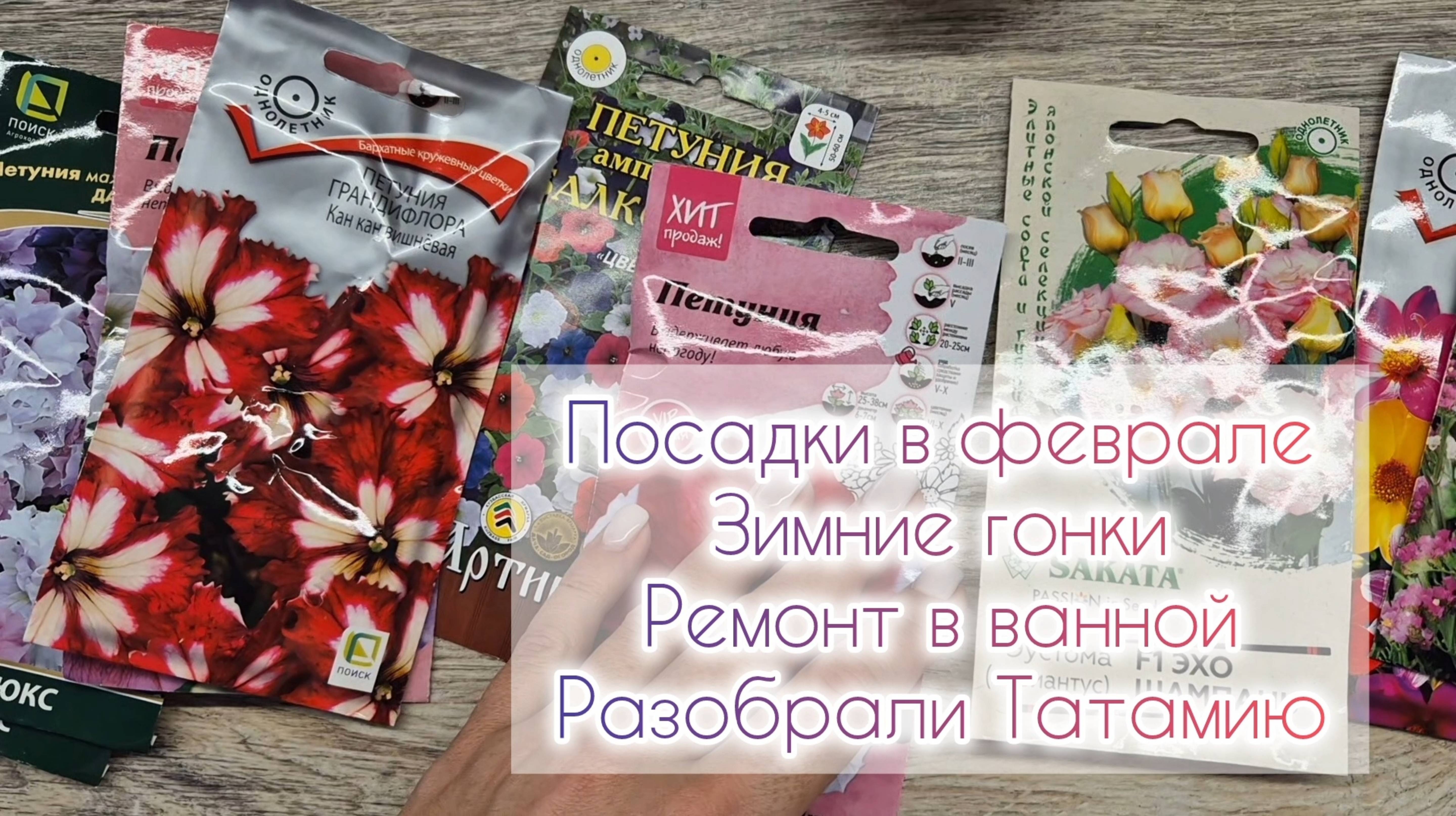 Посадки в феврале🌱Зимние гонки🚘Ремонт в ванной🛁Разобрали Татамию🪛