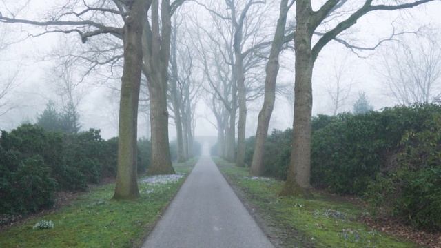 7029584-hd_1920_1080_30fps